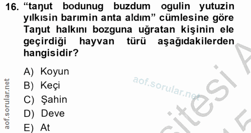 16. soru: "tanut bodunug buzdum ogulin yutuzin yılkısin barımin anta aldım" cümlesine göre Tanut halkını bozguna uğratan kişini…