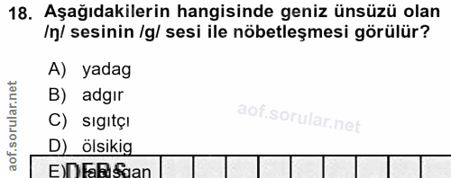 18. soru: Aşağıdakilerin hangisinde geniz ünsüzü olan In/ sesinin /g/ sesi ile nöbetleşmesi görülür? A) yadag B) adgır C) sigıt…