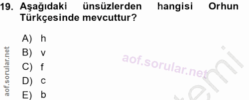 19. soru: Aşağıdaki ünsüzlerden hangisi Orhun Türkçesinde mevcuttur? A) h B) v C) f D) C E) b