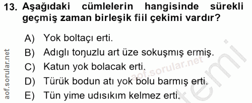 13. soru: Aşağıdaki cümlelerin hangisinde sürekli geçmiş zaman birleşik fiil çekimi vardır? A) Yok boltaçı erti. B) Adıglı tonu…