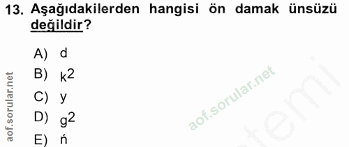 13. soru: Aşağıdakilerden hangisi ön damak ünsüzü değildir? A) d B) к2 C) У D) g2 E ń