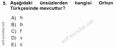 5. soru: Aşağıdaki ünsüzlerden hangisi Orhun Türkçesinde mevcuttur? A) h B) b C) f D) V E) c