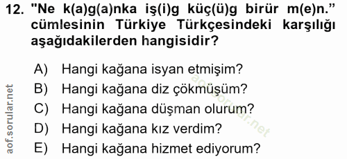 12. soru: "Ne k(a)g(a)nka iş(i)g küç(ü)g birür m(e)n." cümlesinin Türkiye Türkçesindeki karşılığı aşağıdakilerden hangisidir? A…