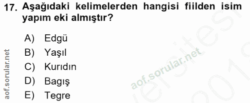 17. soru: Aşağıdaki kelimelerden hangisi fiilden isim yapım eki almıştır? A) Edgü B) Yaşıl C) Kurıdın D) Bagış E) Tegre