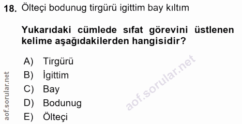 18. soru: Ölteçi bodunug tirgürü gittim bay kıltım Yukarıdaki cümlede sıfat görevini üstlenen kelime aşağıdakilerden hangisidir…