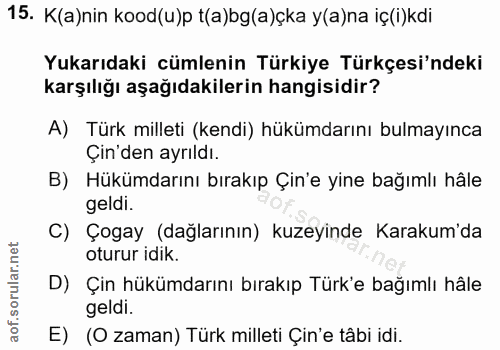 15. soru: K(a)nin kood(u)p t(a)bg(a)çka y(a)na iç(i)kdi Yukarıdaki cümlenin Türkiye Türkçesi'ndeki karşılığı aşağıdakilerin han…