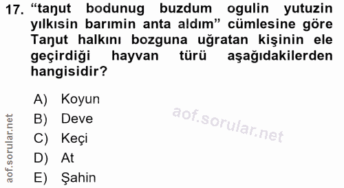 17. soru: "tanut bodunug buzdum ogulin yutuzin yılkısin barımin anta aldım" cümlesine göre Tanut halkını bozguna uğratan kişini…