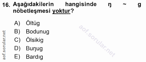 16. soru: Aşağıdakilerin hangisinde g nöbetleşmesi yoktur? A) Öltüg rular.net B) Bodunug C) Ölsikig aof.so D) Bunug E) Bardıg