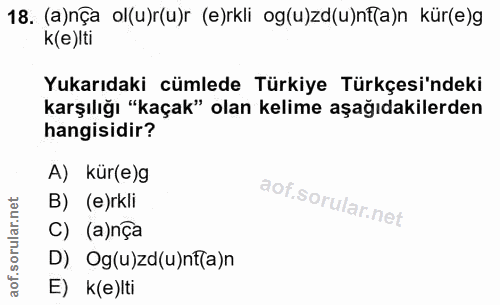 18. soru: (a)nÇa ol(u)r(u)r (e)rkli og(u)zd(u)nf(a)n kür(e)g k(e)lti Yukarıdaki cümlede Türkiye Türkçesi'ndeki karşılığı "kaçak…