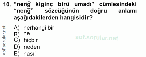 10. soru: "neng kiginç birü umadı" cümlesindeki "neng" sözcüğünün doğru anlamı aşağıdakilerden hangisidir? A) herhangi bir B) n…