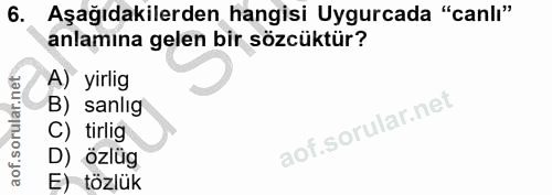 6. soru: Aşağıdakilerden hangisi Uygurcada "canlı" anlamına gelen bir sözcüktür? A) yirlig B) sanlıg C) tirlig D) özlüg E) tözlük