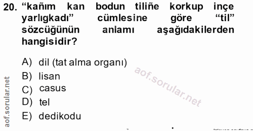 20. soru: "kañım kan bodun tiliñe korkup inçe yarlıgkadı" cümlesine göre "til" sözcüğünün anlamı aşağıdakilerden hangisidir? A)…