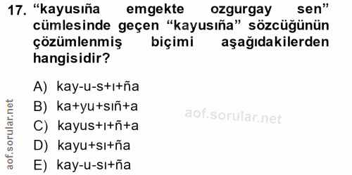 17. soru: "kayusıña emekte ozgurgay sen" cümlesinde geçen "kayusıña" sözcüğünün çözümlenmiş biçimi aşağıdakilerden hangisidir?…