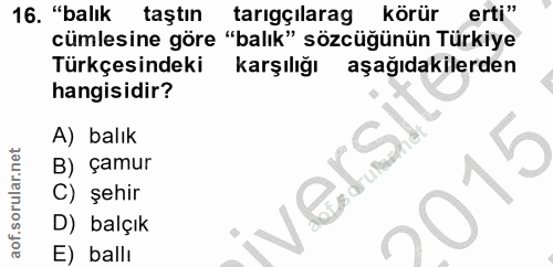 16. soru: "balık taştın tarigçilarag körür erti" cümlesine göre "balık" sözcüğünün Türkiye Türkçesindeki karşılığı aşağıdakiler…