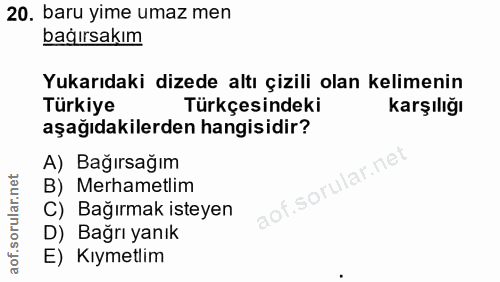 20. soru: baru yime umaz men bağırsakım Yukarıdaki dizede altı çizili olan kelimenin Türkiye Türkçesindeki karşılığı aşağıdakil…