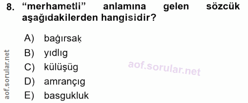 8. soru: "merhametli" anlamına gelen sözcük aşağıdakilerden hangisidir? A) bağırsak B) yıdlıg ar.n C) külüşüg oru D) amrançıg…