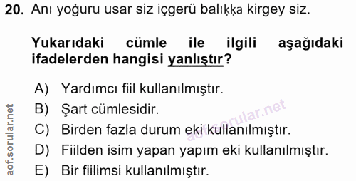 20. soru: Anı yoğuru usar siz içgerü balıkka kirgey siz. Yukarıdaki cümle ile ilgili aşağıdaki ifadelerden hangisi yanlıştır? A…