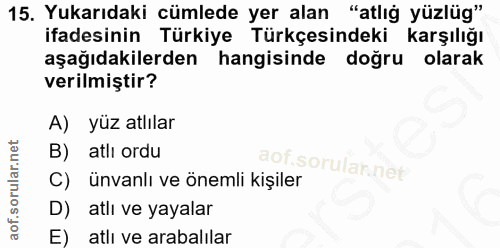 15. soru: Yukarıdaki cümlede yer alan "atlığ yüzlüg" ifadesinin Türkiye Türkçesindeki karşılığı aşağıdakilerden hangisinde doğr…