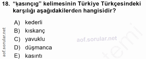 18. soru: "kasınçıg" kelimesinin Türkiye Türkçesindeki karşılığı aşağıdakilerden hangisidir? A) kederli B) kıskanç C) yavuklu D…