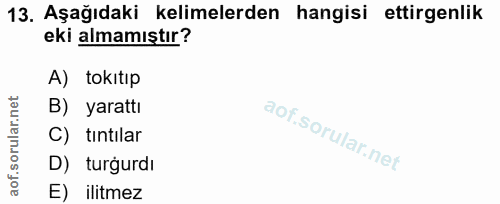 13. soru: Aşağıdaki kelimelerden hangisi ettirenlik eki almamıştır? A) tokıtıp B) yarattı C) tıntılar D) turgurdı E) ilitmez