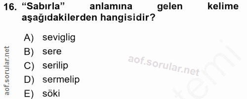 16. soru: "Sabırla" anlamina gelen kelime aşağıdakilerden hangisidir? A) seviglig B) sere C) serilip D) sermelip E) söki