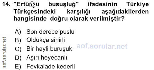14. soru: "Ertüngü busuşlug" ifadesinin Türkiye Türkçesindeki karşılığı aşağıdakilerden hangisinde doğru olarak verilmiştir? A)…