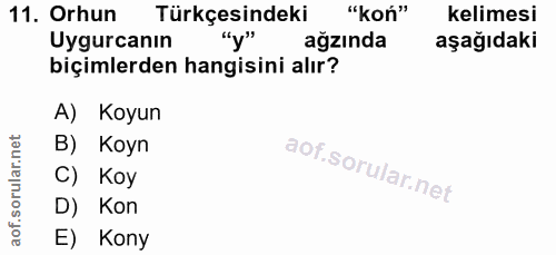11. soru: Orhun Türkçesindeki "kon" kelimesi Uygurcanın "y" ağzında aşağıdaki biçimlerden hangisini alır? A) Koyun B) Koyn C) K…