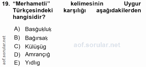 19. soru: "Merhametli" kelimesinin Uygur Türkçesindeki karşılığı aşağıdakilerden hangisidir? A) Basgukluk B) Bağırsak rular.n C…