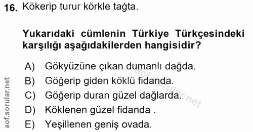16. soru: Kökerip turur körkle tagta. Yukarıdaki cümlenin Türkiye Türkçesindeki karşılığı aşağıdakilerden hangisidir? A) Gökyüz…