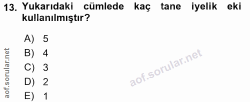13. soru: Yukarıdaki cümlede kaç tane iyelik eki kullanılmıştır? A) 5 B) 4 C) 3 D) 2 E) 1