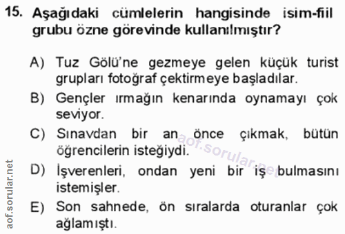 15. soru: Aşağıdaki cümlelerin hangisinde isim-fiil grubu özne görevinde kullanılmıştır? A) Tuz Gölü'ne gezmeye gelen küçük tur…
