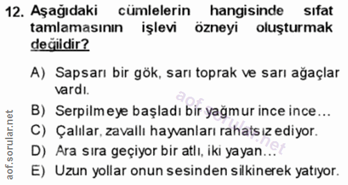 12. soru: Aşağıdaki cümlelerin hangisinde sıfat tamlamasının işlevi özneyi oluşturmak değildir? A) Sapsarı bir gök, sarı toprak…