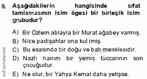 9. soru: Aşağıdakilerin hangisinde sifat tamlamasının isim ögesi bir birleşik isim grubudur? A) Bir Özlem ablayla bir Murat ağ…