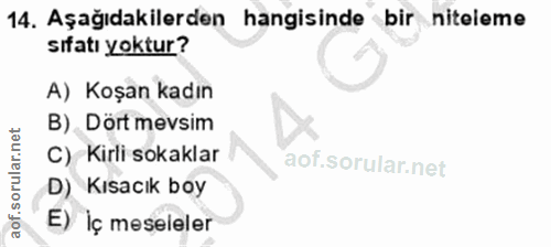 14. soru: Aşağıdakilerden hangisinde bir niteleme sıfatı yoktur? A) Koşan kadın B) Dört mevsim C) Kirli sokaklar D) Kısacık boy…