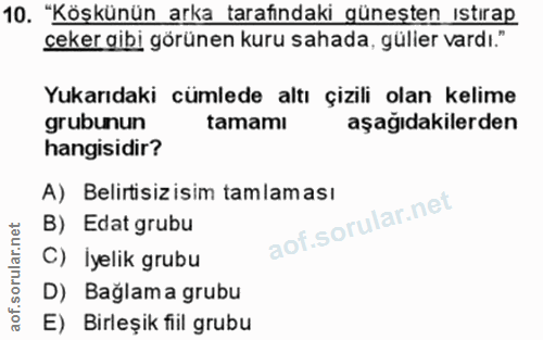 10. soru: "Köşkünün arka tarafındaki güneşten ıstırap çeker gibi görünen kuru sahada, güller vardı." Yukarıdaki cümlede altı çi…