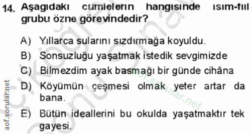 14. soru: Aşagıdakı cumlelerın hangısınde Isım-tıil grubu özne görevindedir? A) Yıllarca sularını sızdırmağa koyuldu. B) Sonsuz…