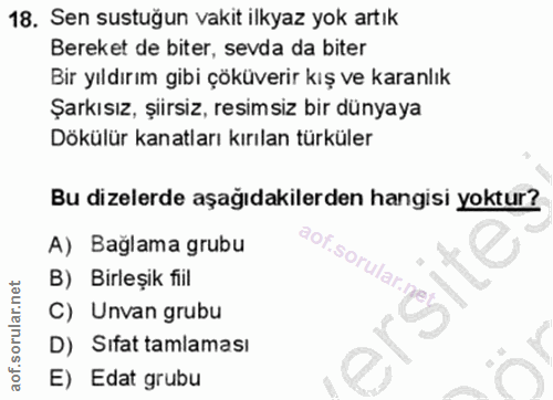 18. soru: Sen sustuğun vakit ilkyaz yok artık Bereket de biter, sevda da biter Bir yıldırım gibi çöküverir kış ve karanlık Şark…