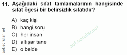 11. soru: Aşağıdaki sıfat tamlamalarının hangisinde sıfat ögesi bir belirsizlik sıfatıdır? A) kaç kişi B) hangi soru C) her ins…