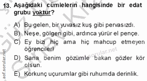 13. soru: Aşağıdaki cümlelerin hangisinde bir edat grubu yoktur? A) Bu gelen, bir yuvasız kuş gibi pervas ızdı. B). Neşe, gölge…