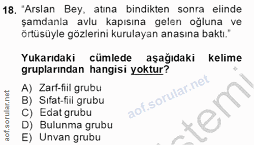 18. soru: "Arslan Bey, atına bindikten sonra elinde şamdanla avlu kapısına gelen oğluna ve örtüsüyle gözlerini kurulayan anasın…
