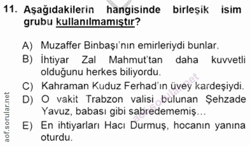 11. soru: Aşağıdakilerin hangisinde birleşik isim grubu kullanılmamıştır? A) Muzaffer Binaşı'nın emirleriydi bunlar. B) İhtiyar…