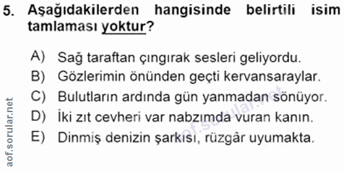5. soru: Aşağıdakilerden hangisinde belirtili isim tamlaması yoktur? A) Sağ taraftan çıngırak sesleri geliyordu. B) Gözlerimin…