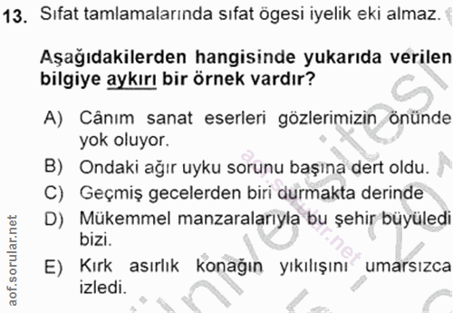 13. soru: Sıfat tamlamalarında sıfat ögesi iyelik eki almaz. Aşağıdakilerden hangisinde yukarıda verilen bilgiye aykırı bir örn…