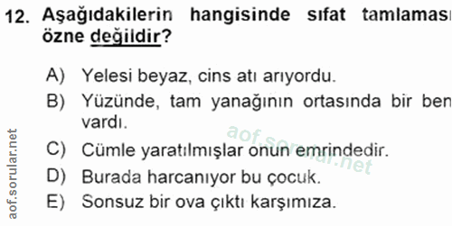 12. soru: Aşağıdakilerin hangisinde sıfat tamlamas özne değildir? A) Yelesi beyaz, cins atı arıyordu. B) Yüzünde, tam yanağının…
