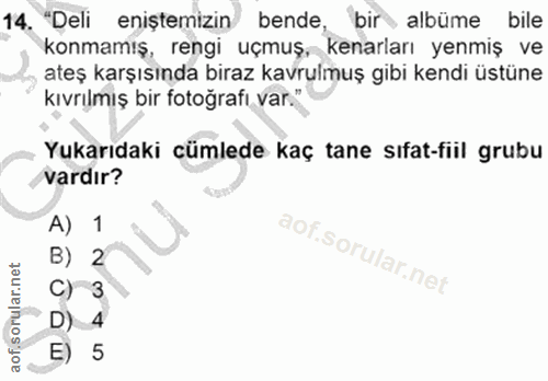 14. soru: "Deli eniştemizin bende, bir albüme bile konmamış, rengi uçmuş, kenarları yenmiş ve ateş karşısında biraz kavrulmuş g…