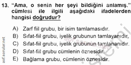 13. soru: "Ama, o senin her şeyi bildiğini anlamış." cümlesi ile ilgili aşağıdaki ifadelerden hangisi doğrudur? A) Zarf fiil gr…