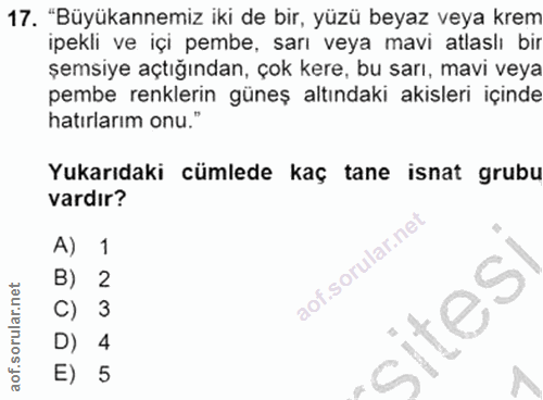 17. soru: "Büyükannemiz iki de bir, yüzü beyaz veya krem ipekli ve içi pembe, sarı veya mavi atlaslı bir şemsiye açtığından, ço…