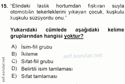 15. soru: "Elindeki lastik hortumdan fışkıran suyla otomobilin tekerleklerini yıkayan çocuk, kuşkulu kuşkulu süzüyordu onu." Yu…
