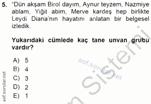 5. soru: "Dün akşam Birol dayım, Aynur teyzem, Nazmiye ablam, Yiğit abim, Merve kardeş hep birlikte Leydi Diana'nın hayatını a…