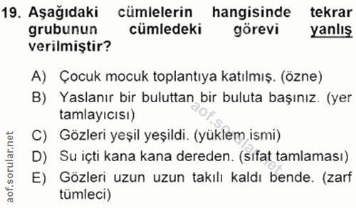 19. soru: Aşağıdaki cümlelerin hangisinde tekrar grubunun cümledeki görevi yanlış verilmiştir? A) Çocuk mocuk toplantıya katılm…